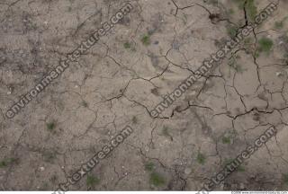 ground soil overgrown 0006